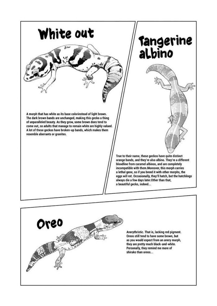 Page 12 of Chapter 91