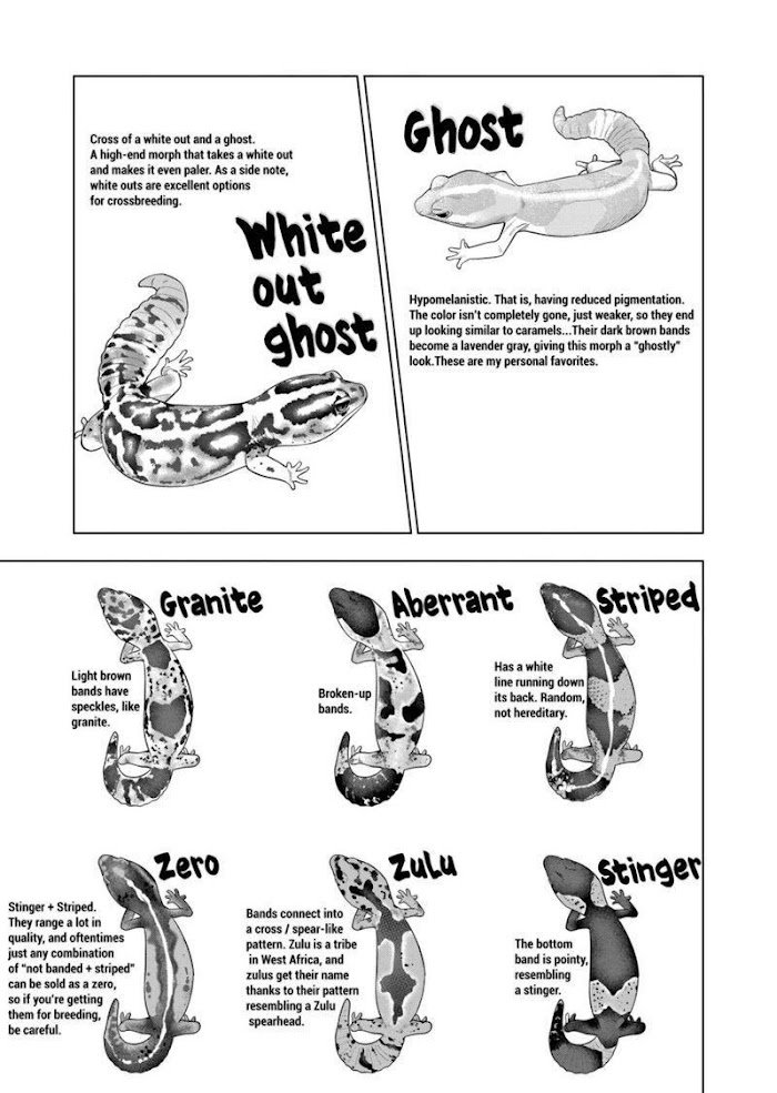 Page 13 of Chapter 91