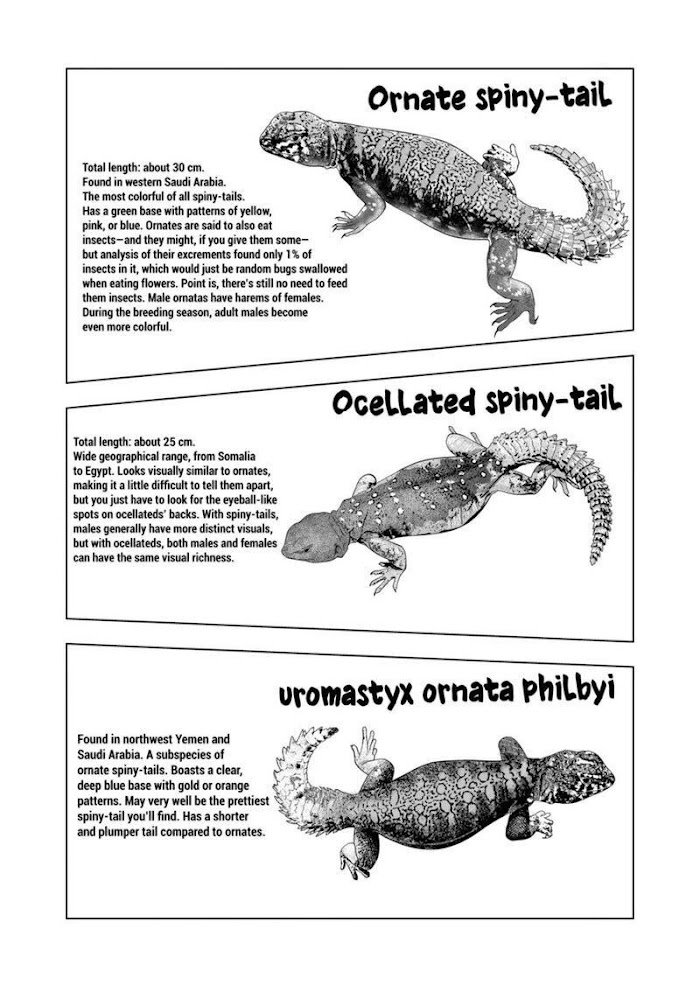 Page 12 of Chapter 98