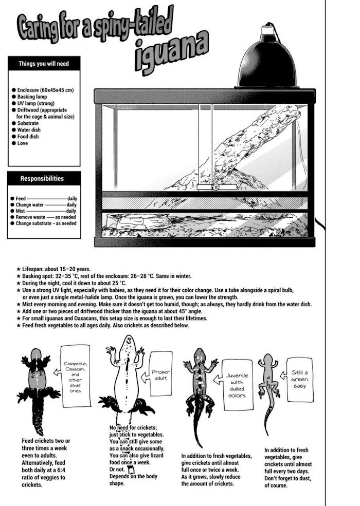 Page 17 of Chapter 99