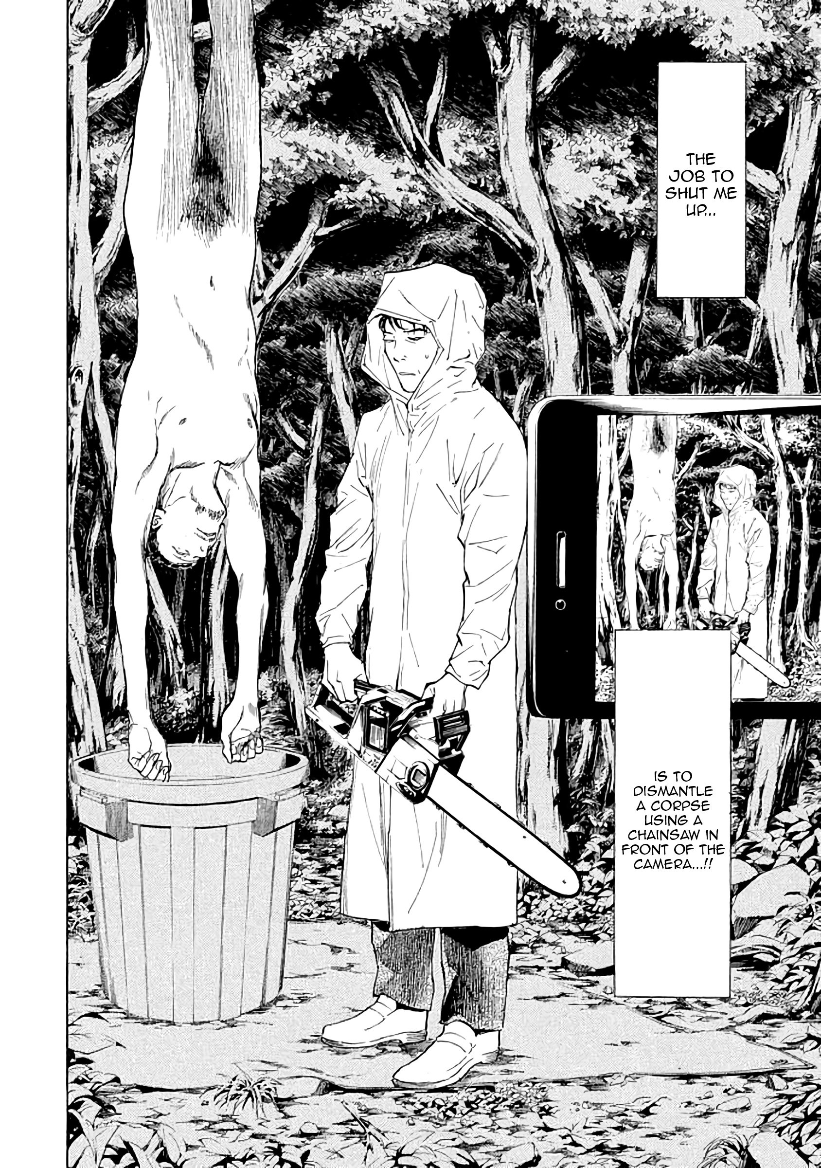 Page 13 of Chapter 17