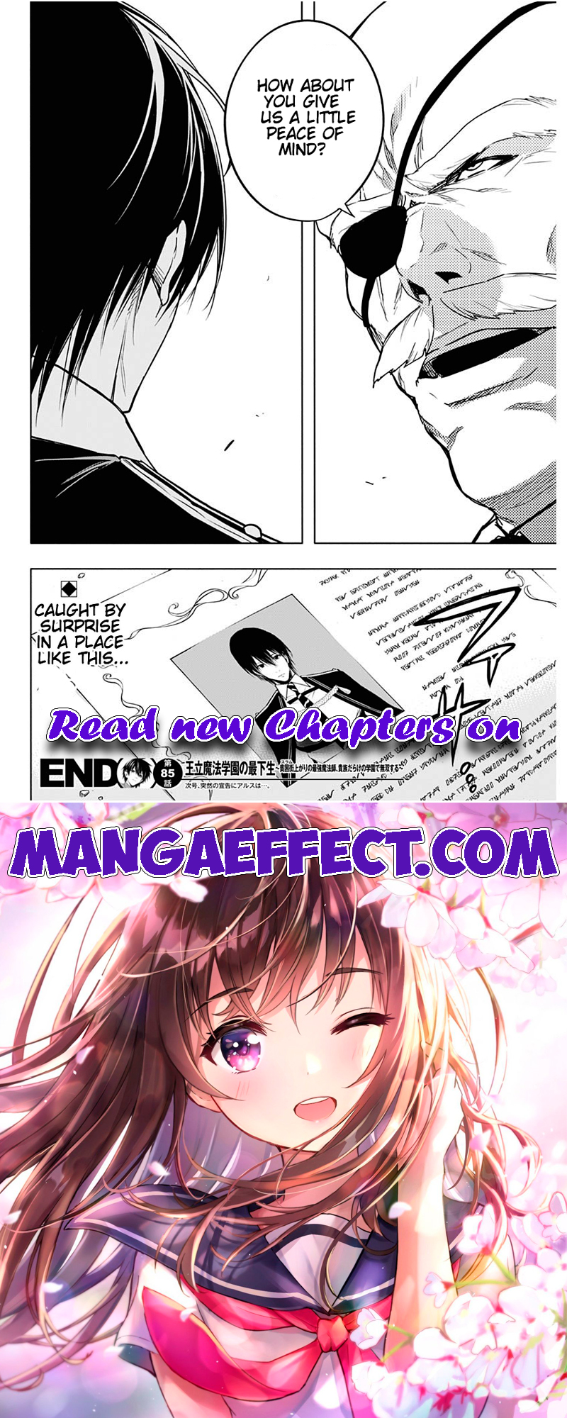 Page 17 of Chapter 85