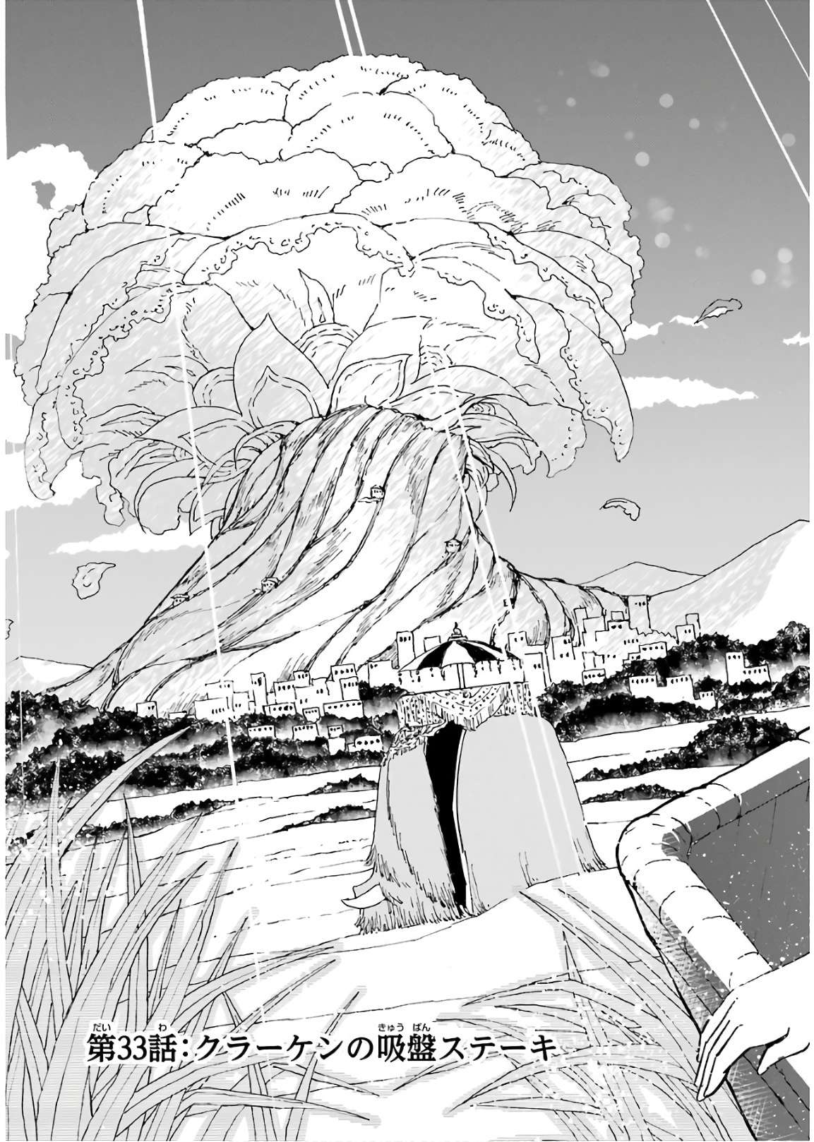 Page 4 of Chapter 33