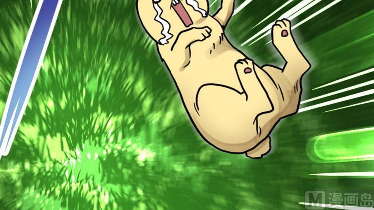 Page 37 of Chapter 19
