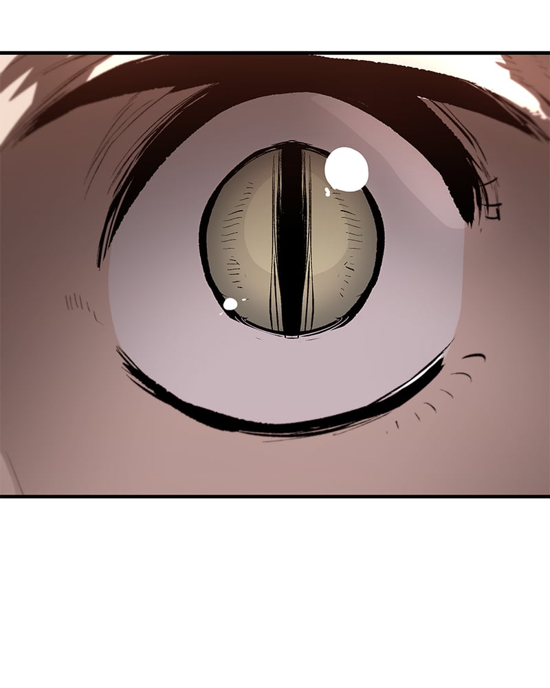 Page 1 of Chapter 80