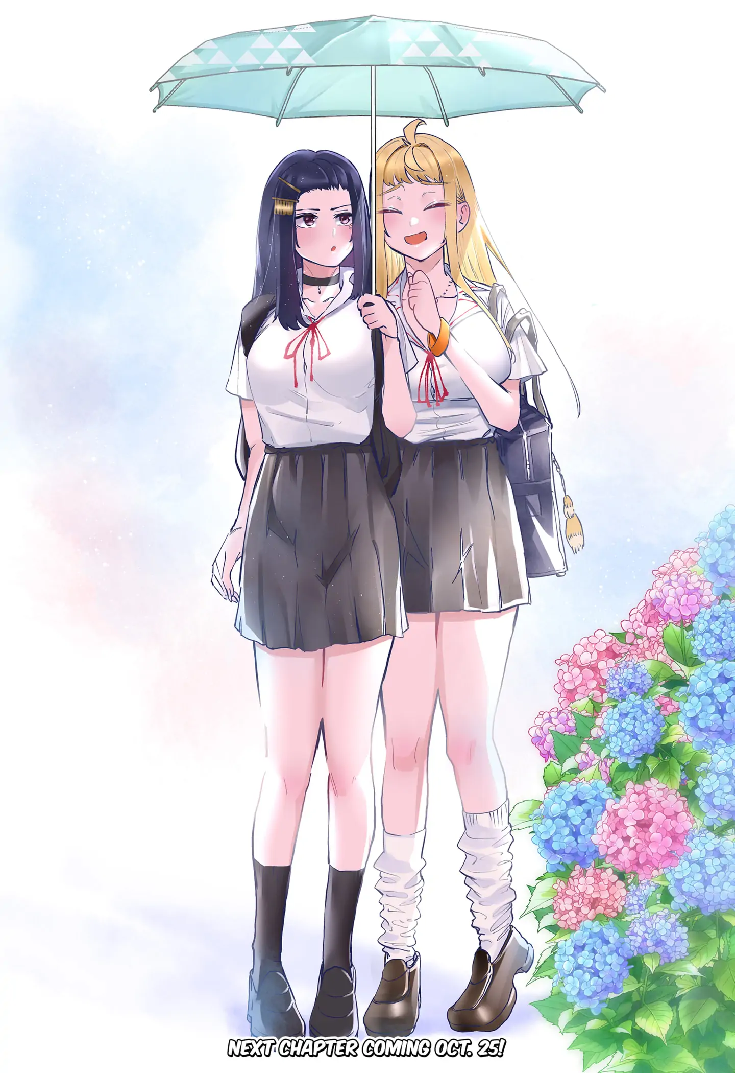 Page 12 of Chapter 85.5