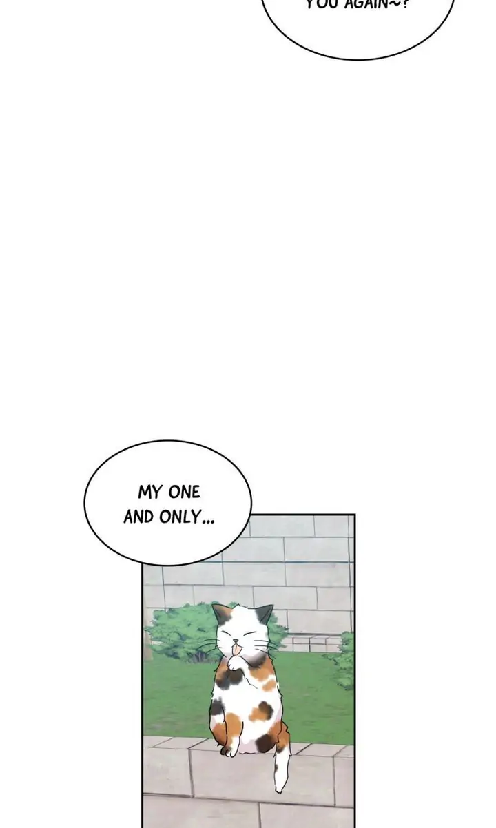 Page 49 of Chapter 44