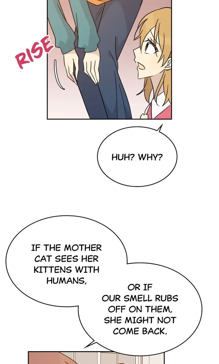 Page 5 of Chapter 52