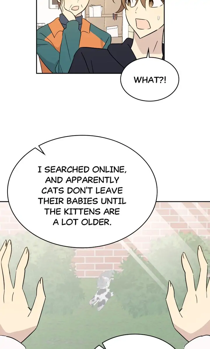 Page 14 of Chapter 52