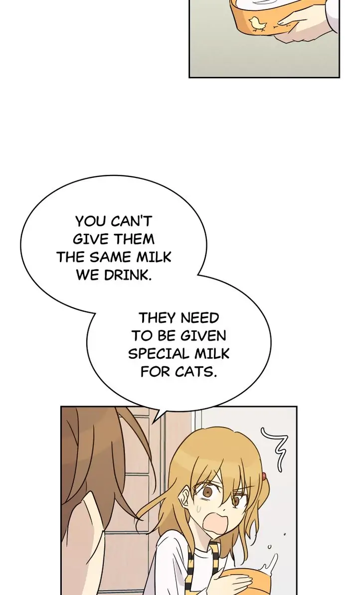Page 26 of Chapter 52