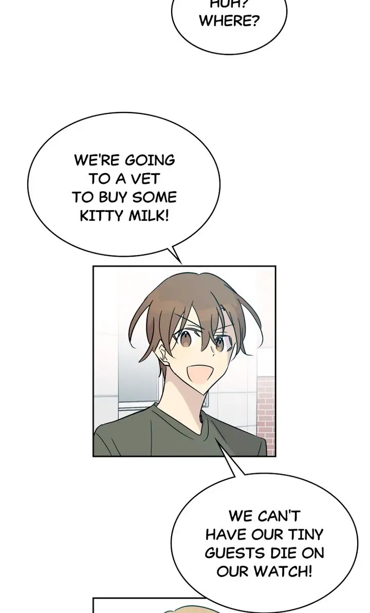 Page 43 of Chapter 52