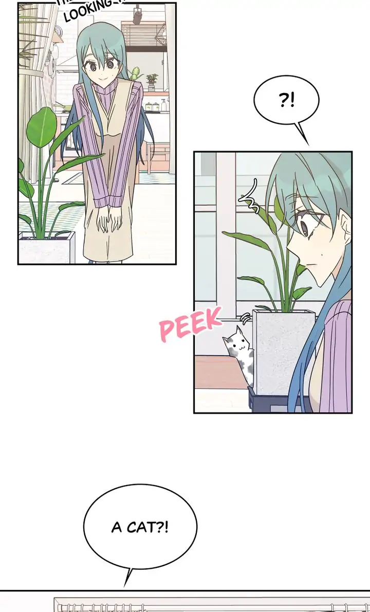 Page 19 of Chapter 61