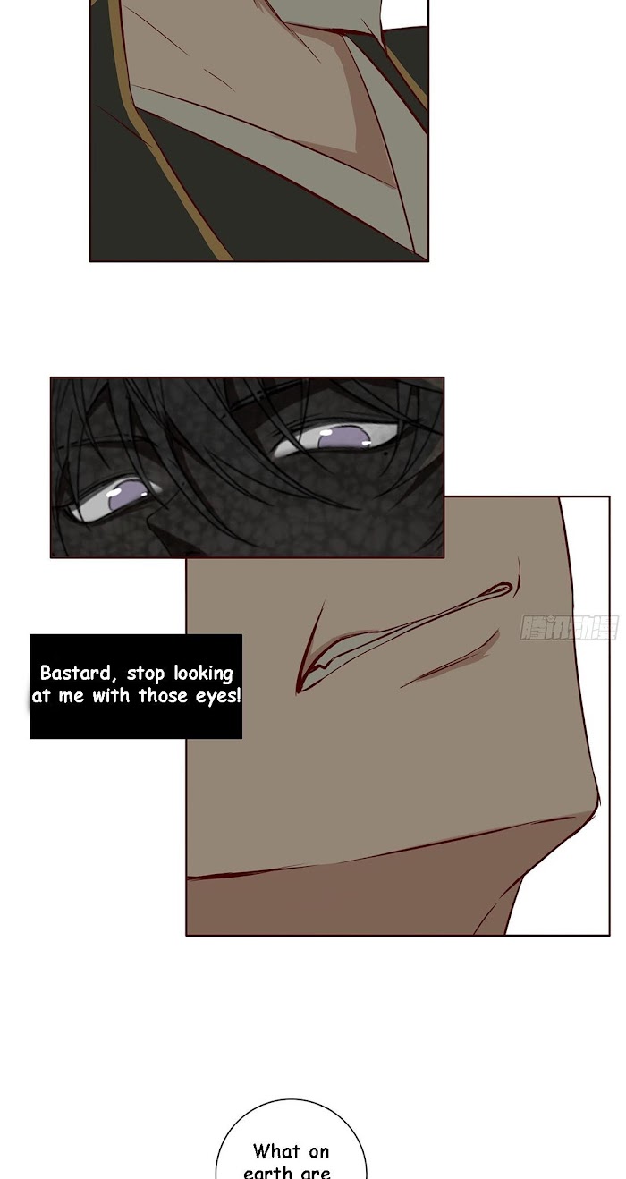 Page 14 of Chapter 19