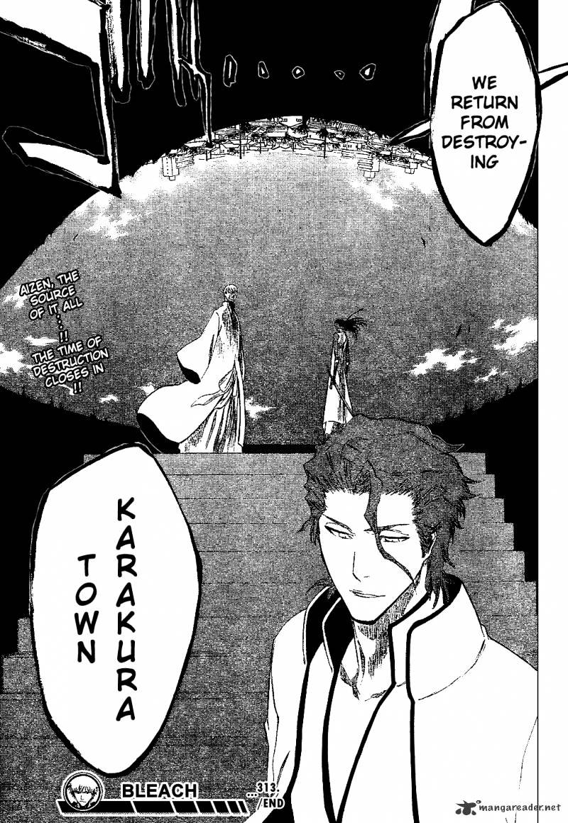 Page 21 of Chapter 313