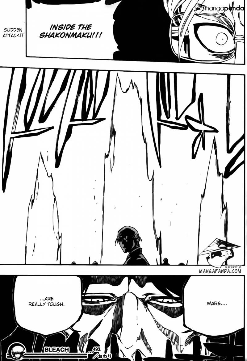 Page 17 of Chapter 493
