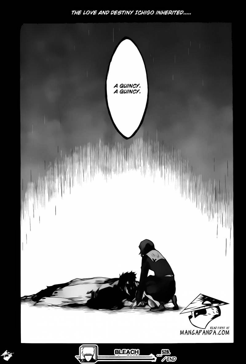 Page 17 of Chapter 528