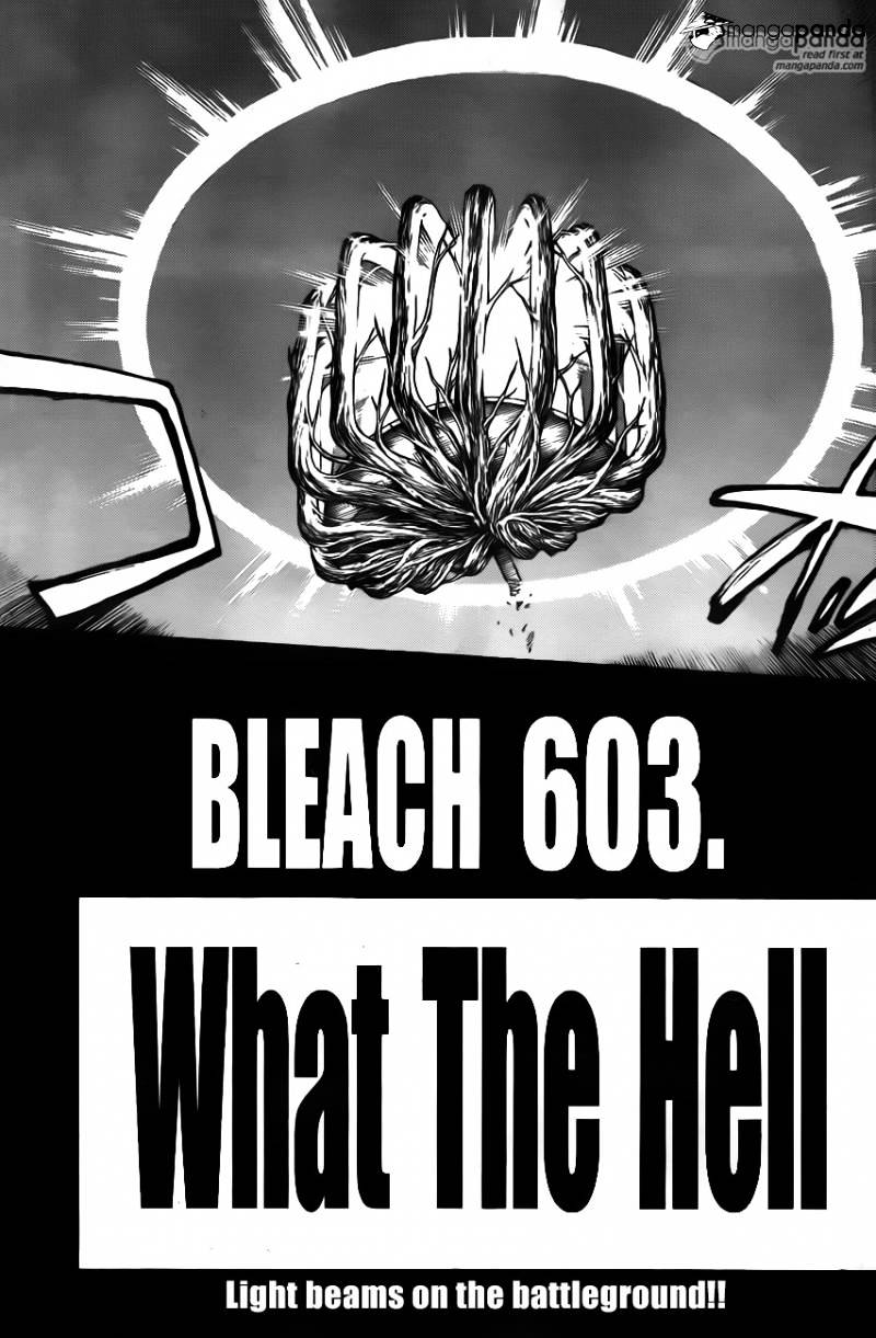 Page 3 of Chapter 603