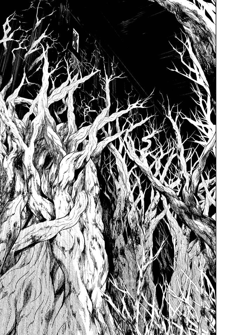 Page 13 of Chapter 144
