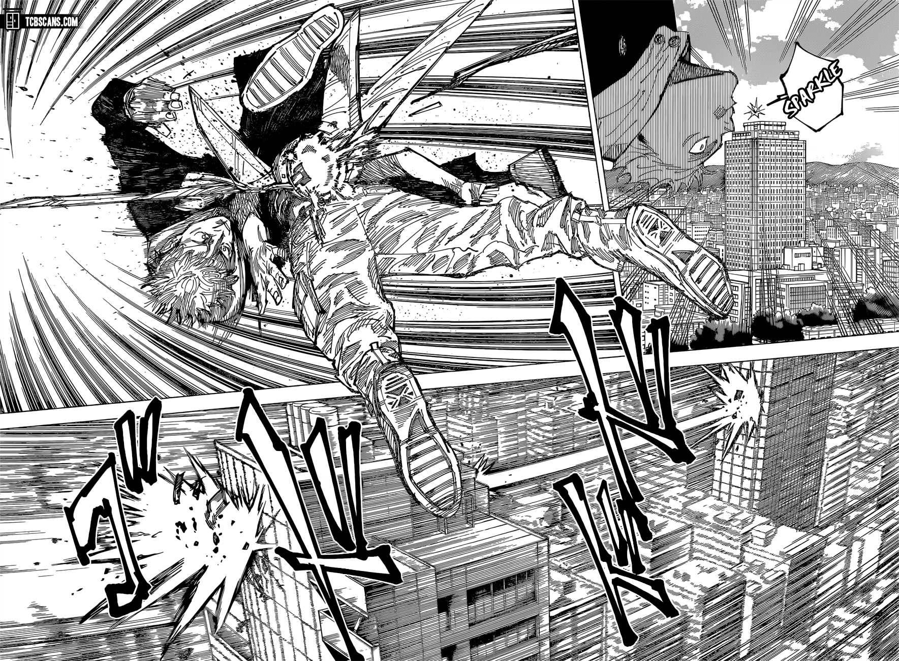 Page 10 of Chapter 161
