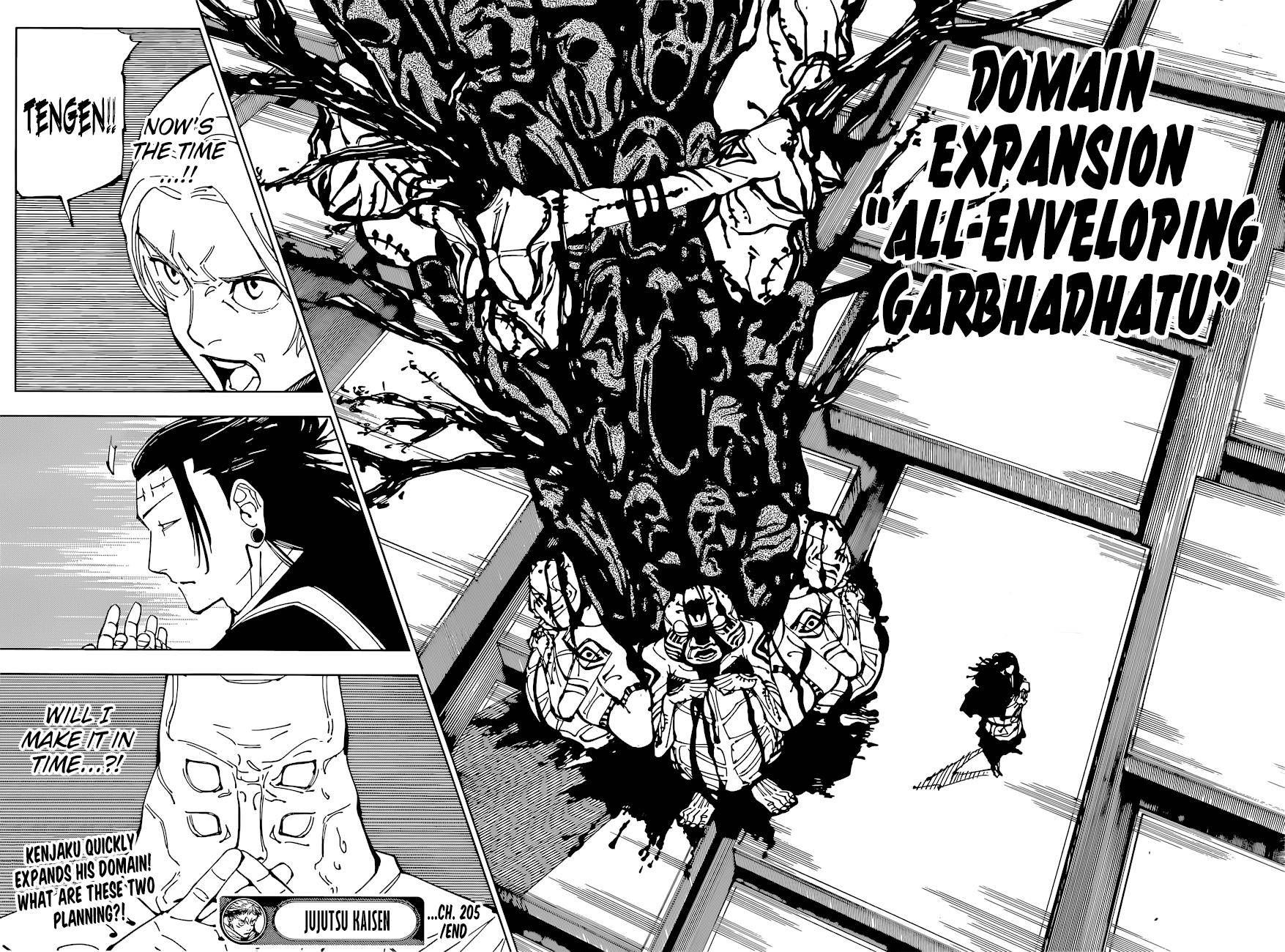 Page 17 of Chapter 205
