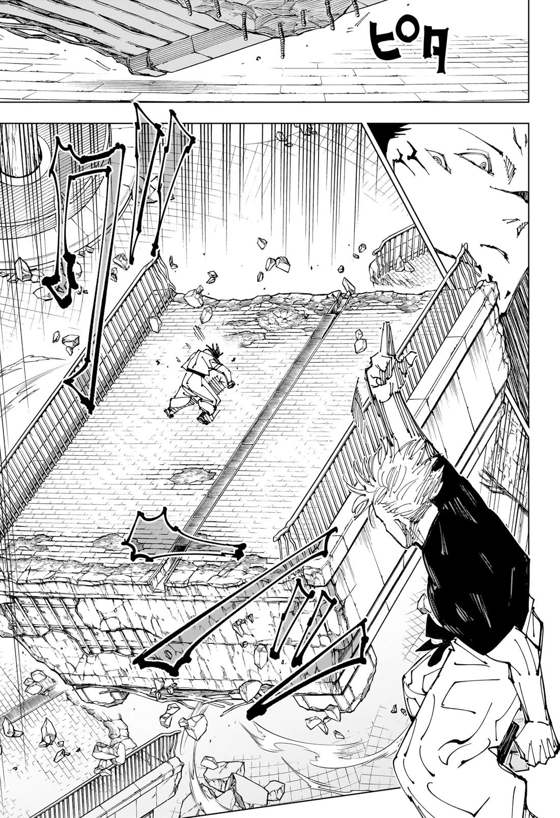 Page 10 of Chapter 224