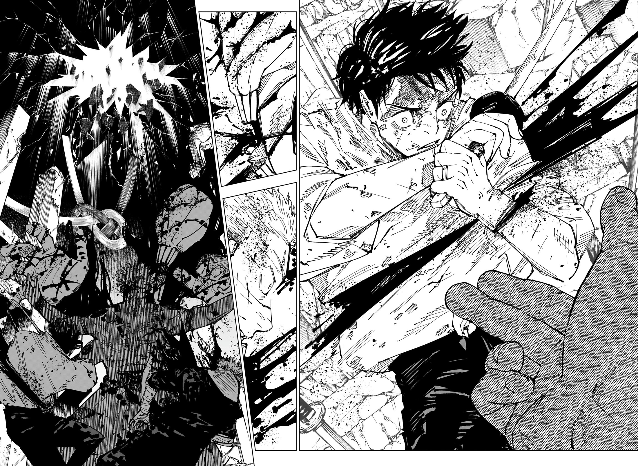 Page 17 of Chapter 251