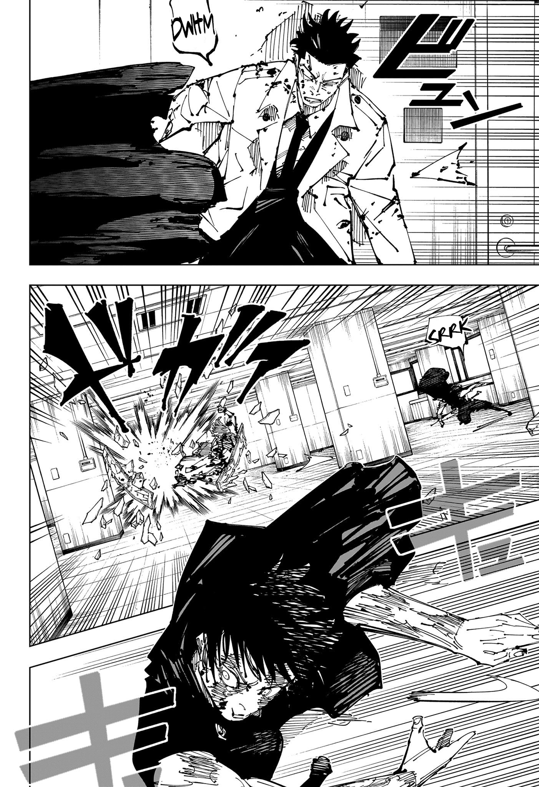 Page 13 of Chapter 253