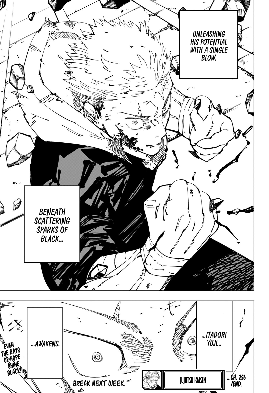 Page 20 of Chapter 256