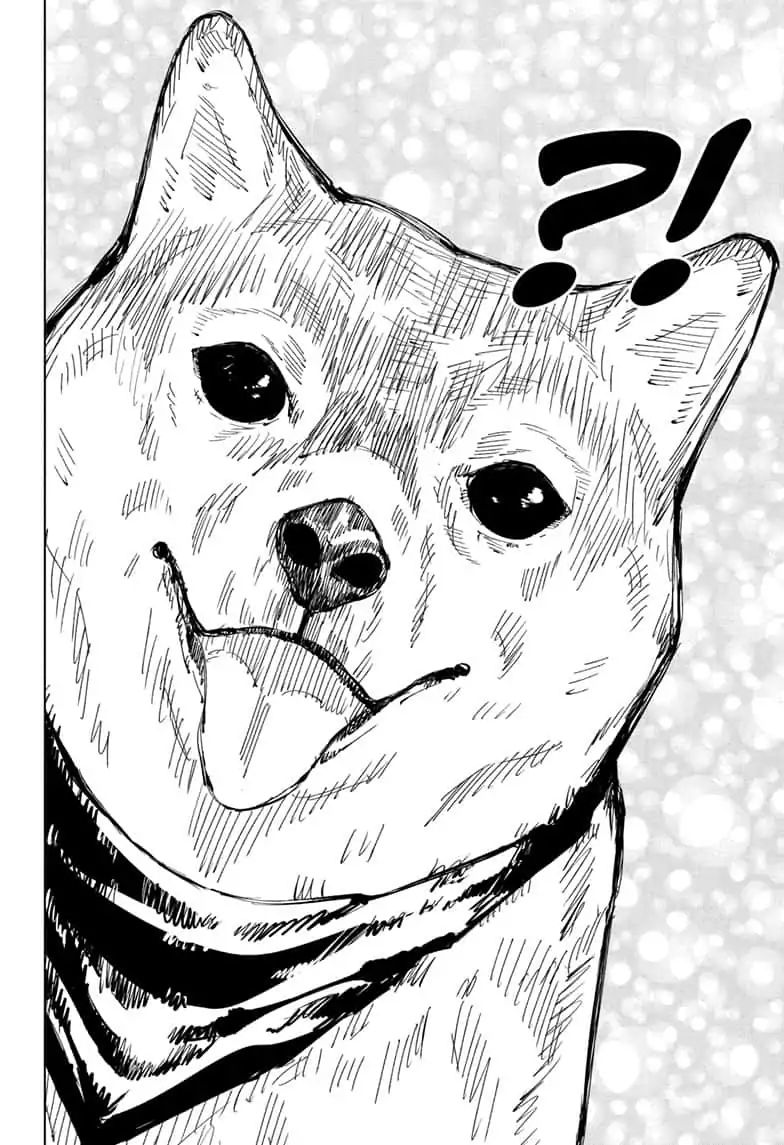 Page 12 of Chapter 68
