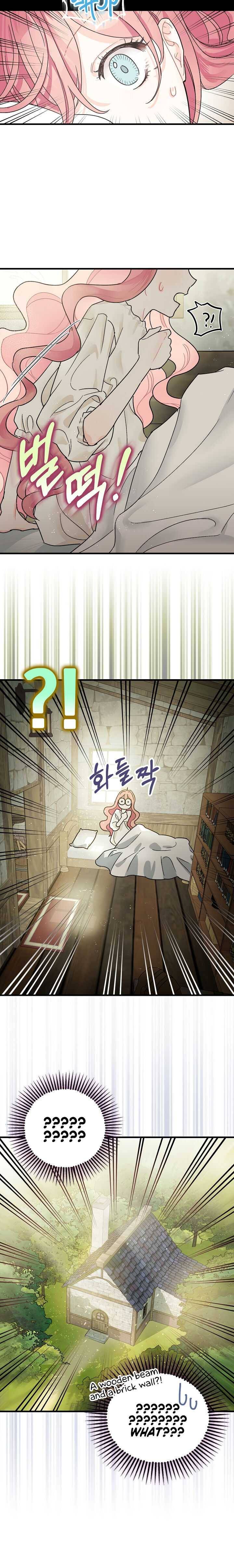 Page 17 of Chapter 1
