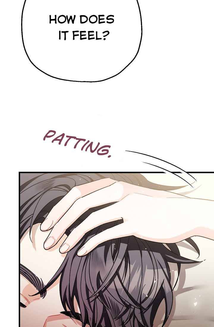 Page 12 of Chapter 16.5
