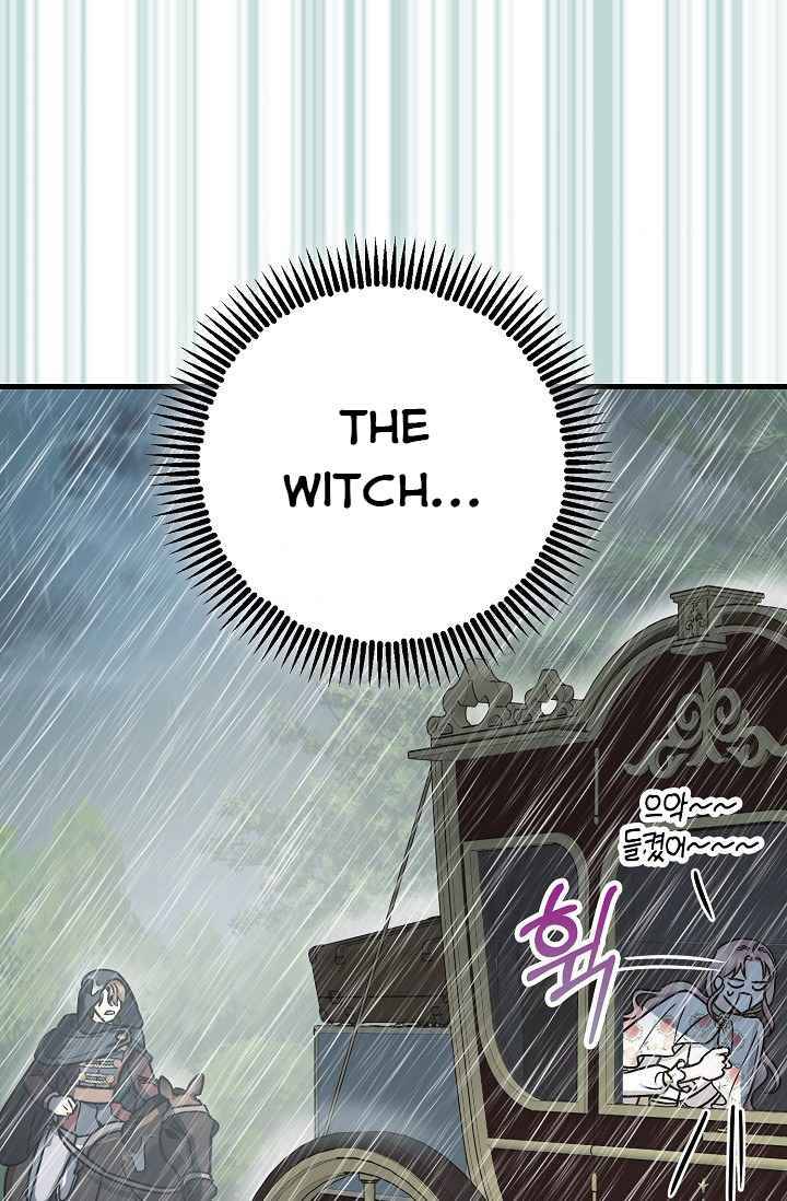 Page 48 of Chapter 16.5