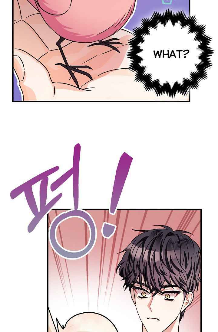 Page 17 of Chapter 16.1