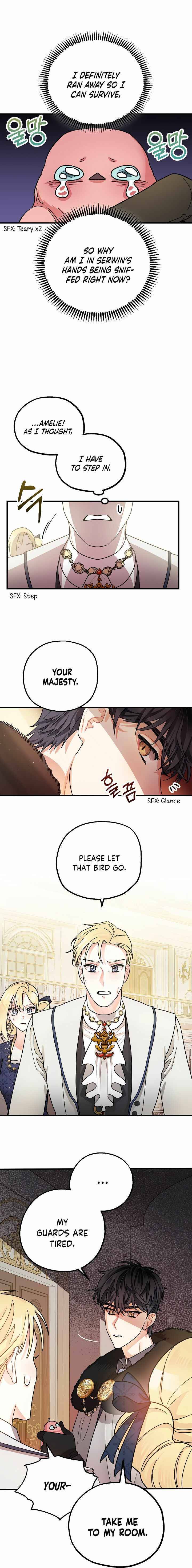 Page 17 of Chapter 4