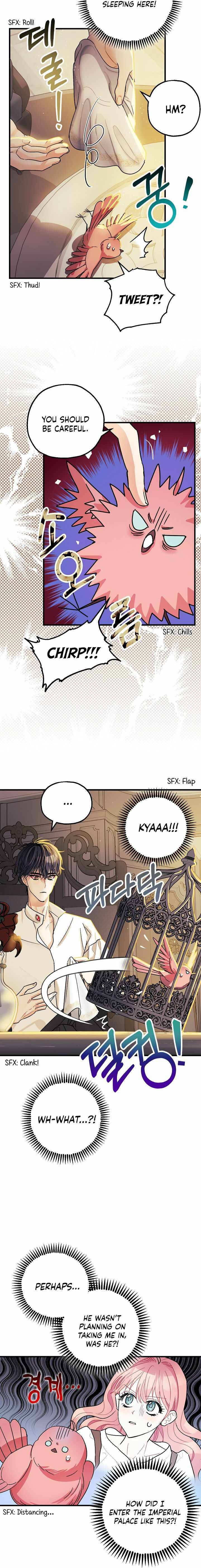Page 16 of Chapter 5