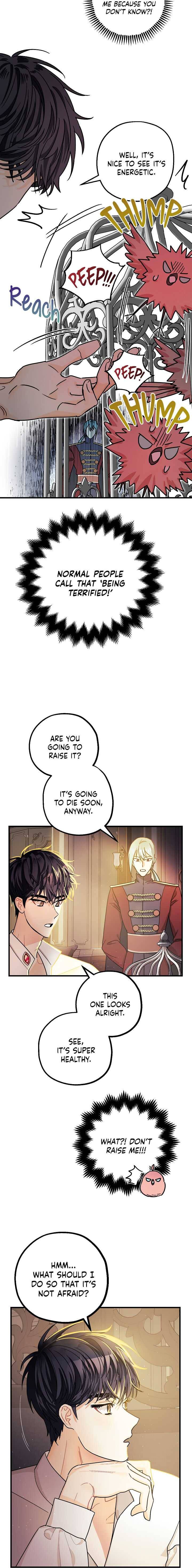 Page 5 of Chapter 6