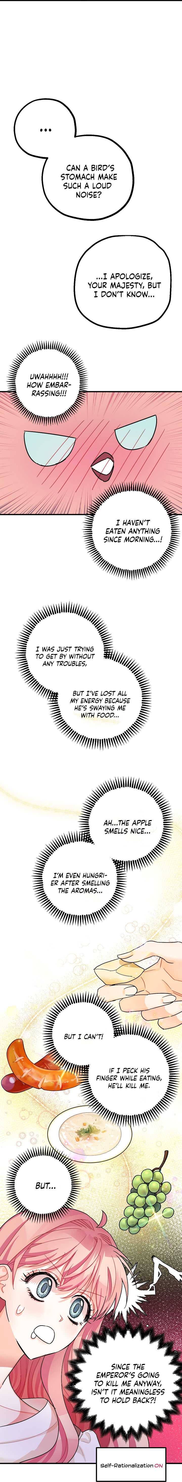 Page 12 of Chapter 6