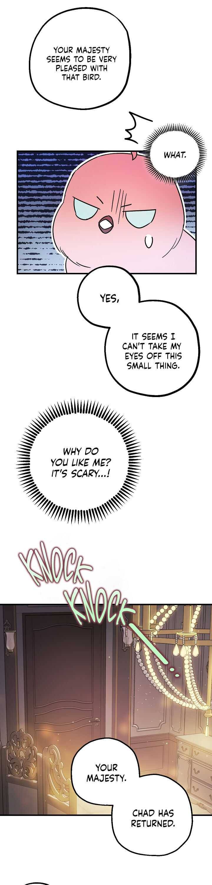 Page 17 of Chapter 6