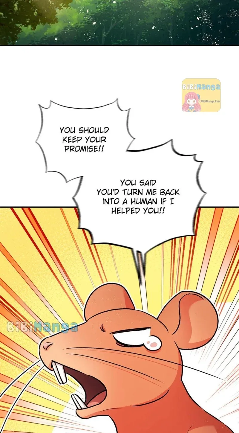 Page 61 of Chapter 64