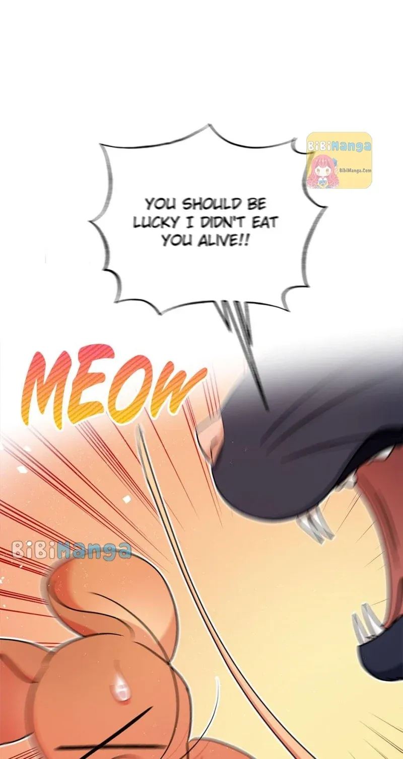 Page 67 of Chapter 64