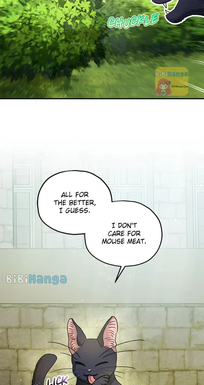 Page 71 of Chapter 64