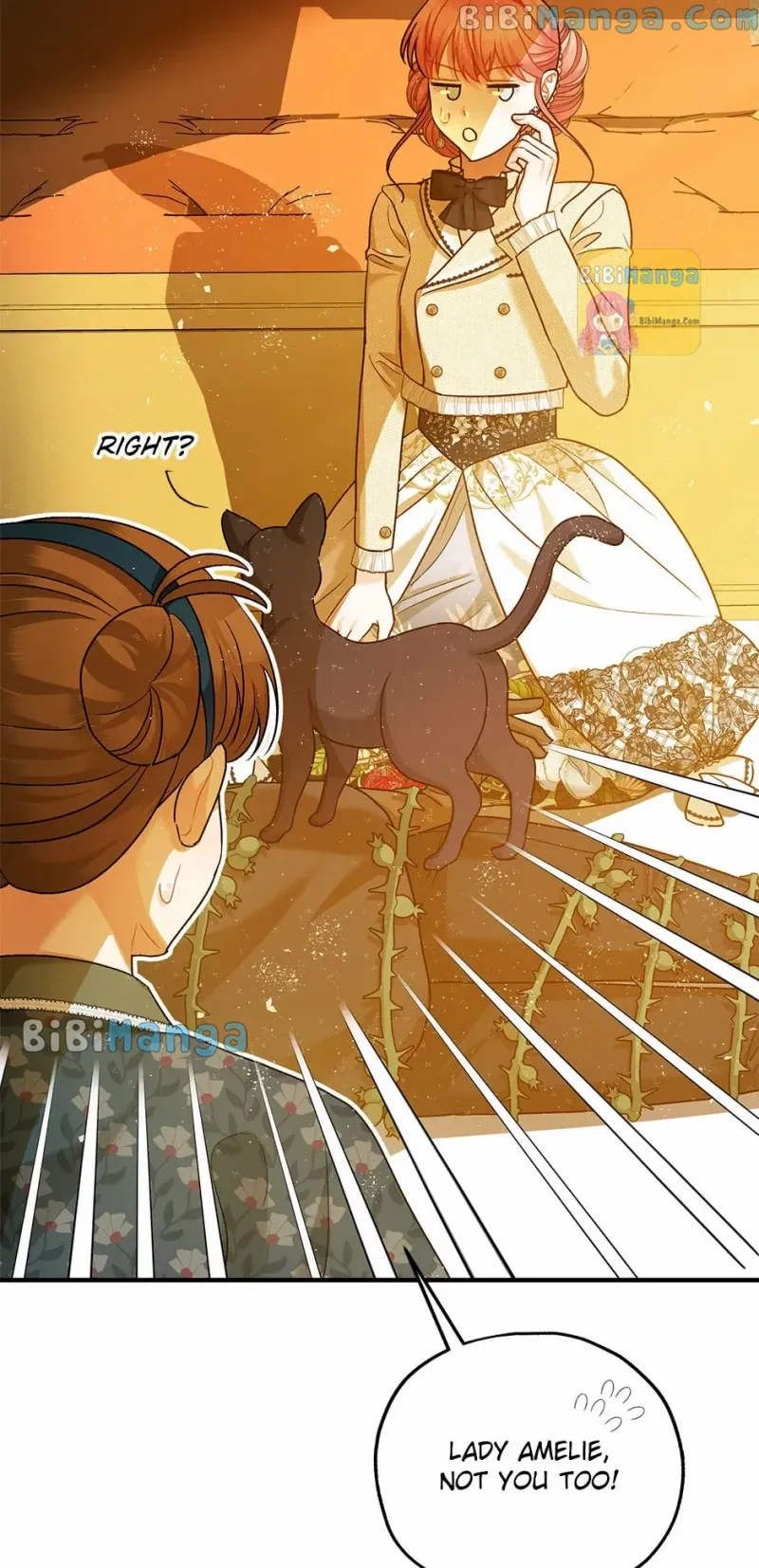 Page 13 of Chapter 66