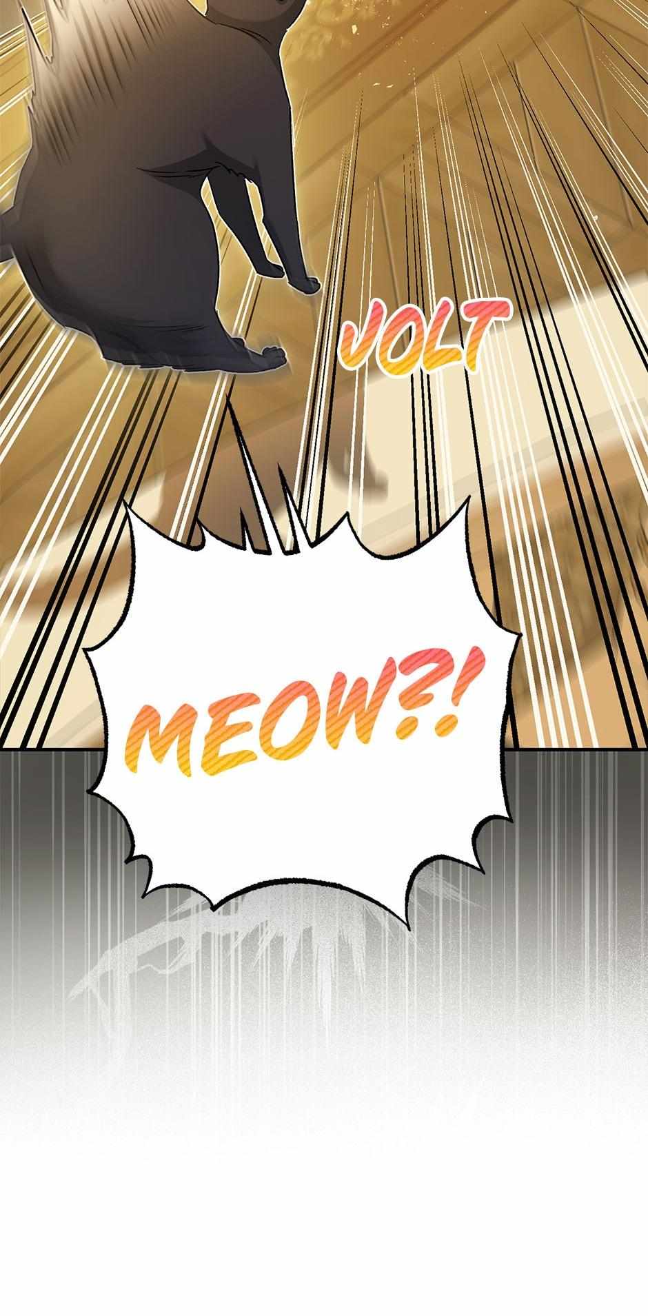Page 71 of Chapter 67
