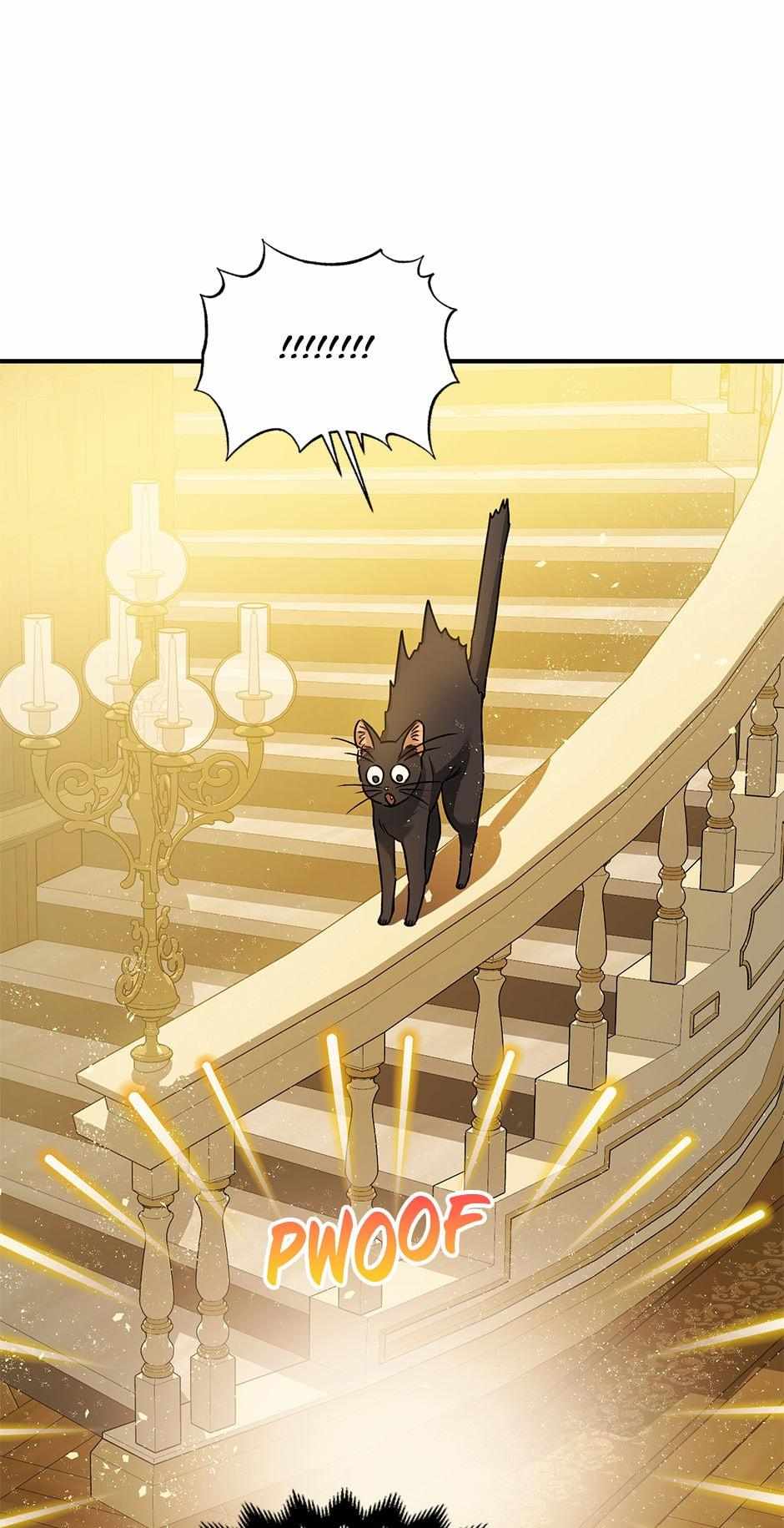 Page 72 of Chapter 67