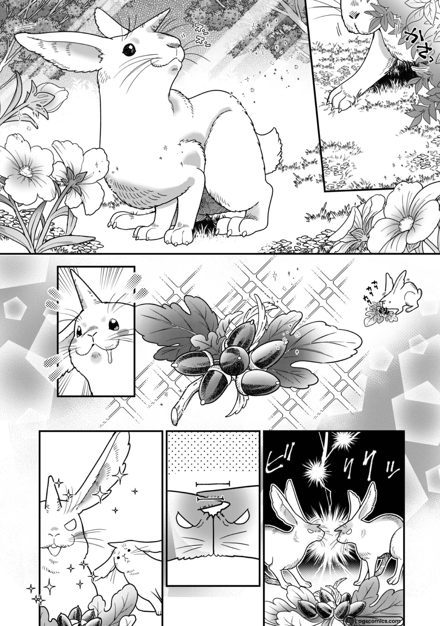 Page 4 of Chapter 5