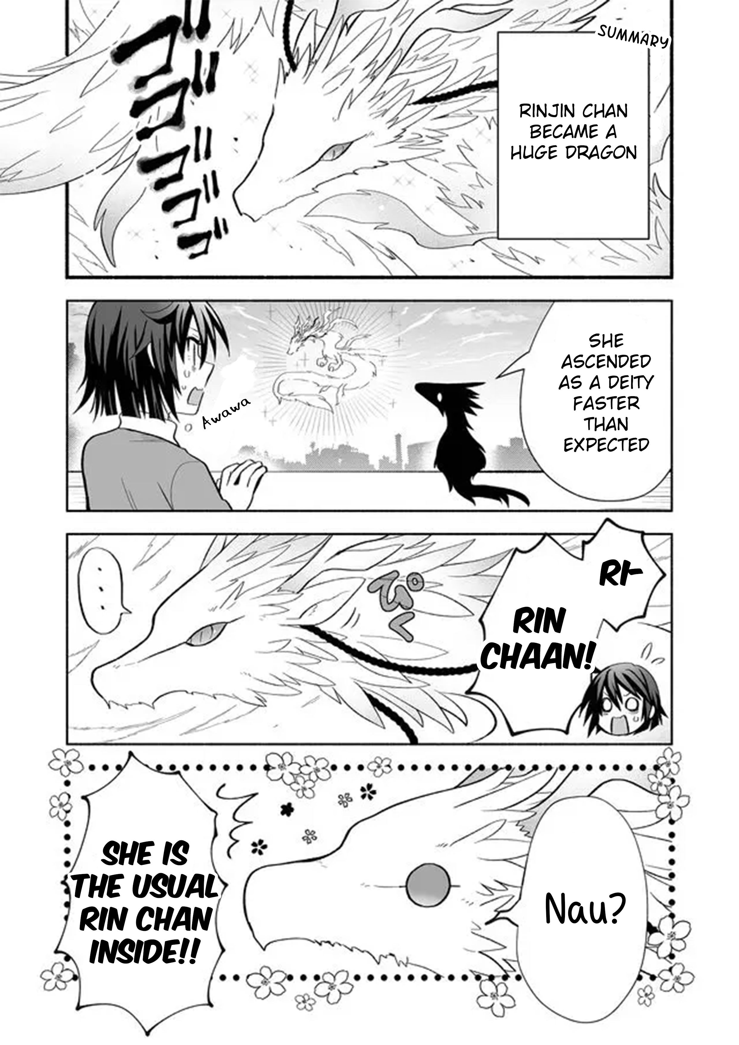 Page 3 of Chapter 11
