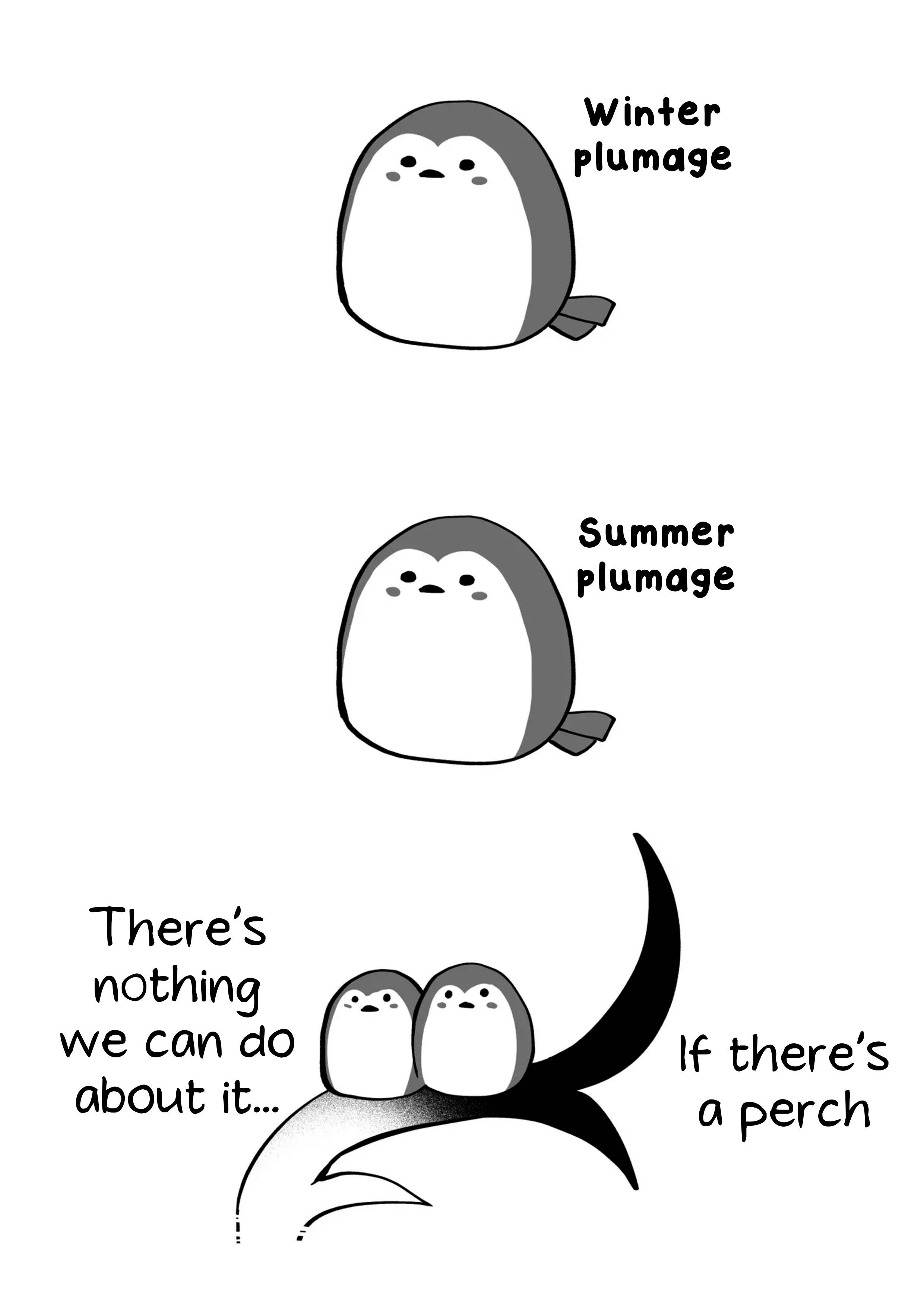 Page 6 of Chapter 38