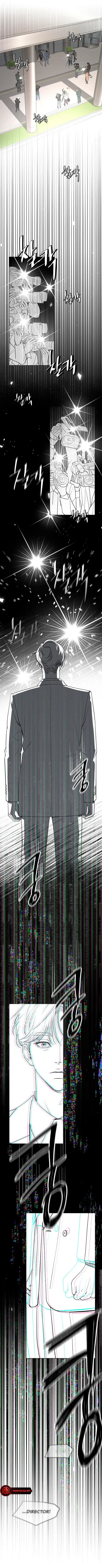 Page 13 of Chapter 11