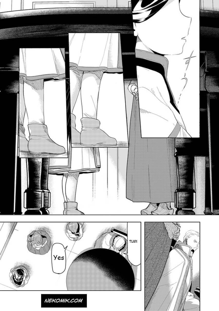 Page 17 of Chapter 21