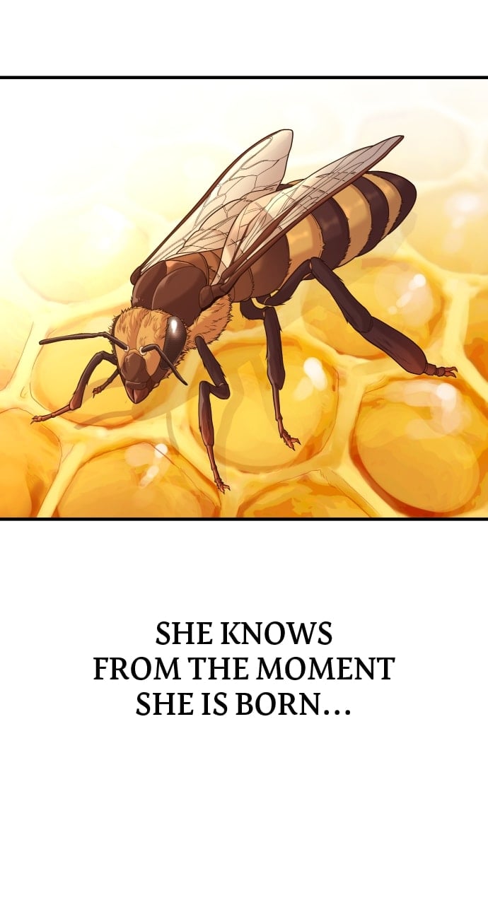 Page 2 of Chapter 52